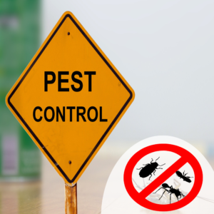 All Pest Control Services