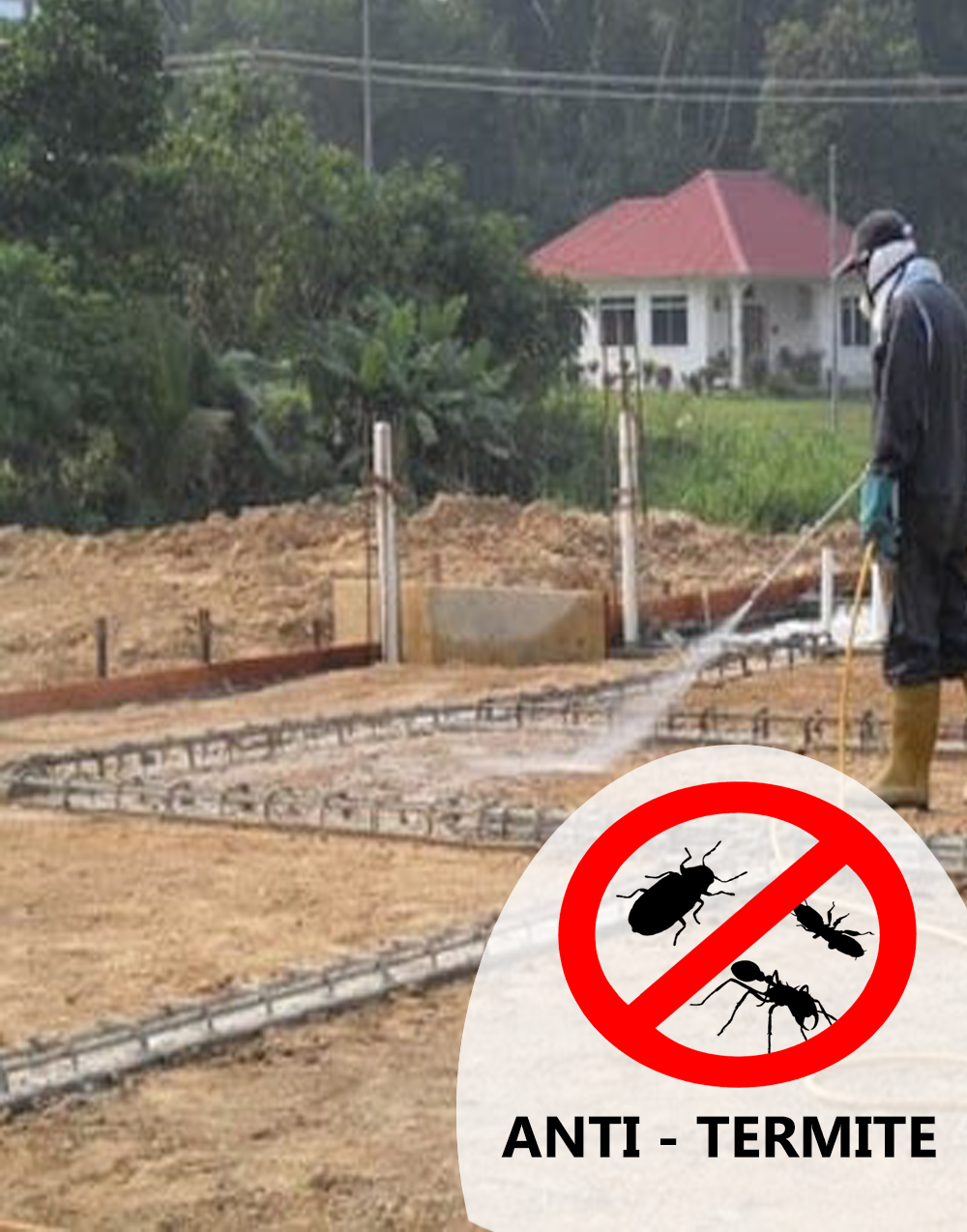 anti-termite-control Anti Termite Control