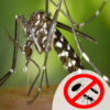 Mosquito Pest Control Services