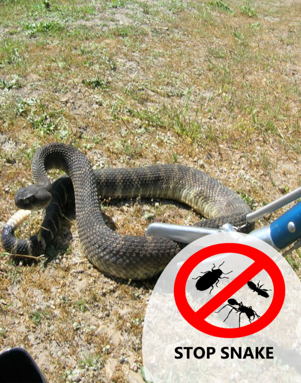 snake control services