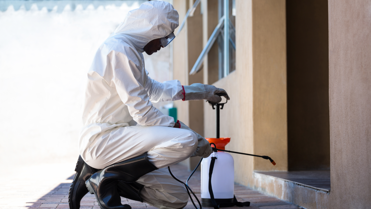 pest control services in ranchi
