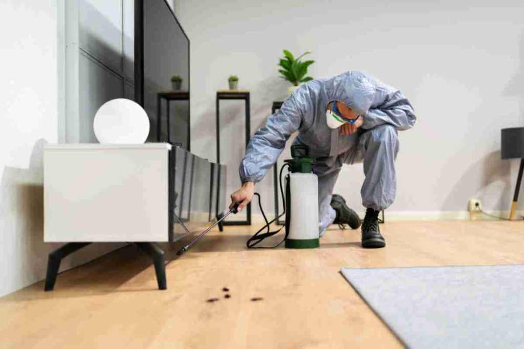 pest control services