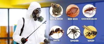 pest control services in chakradharpur