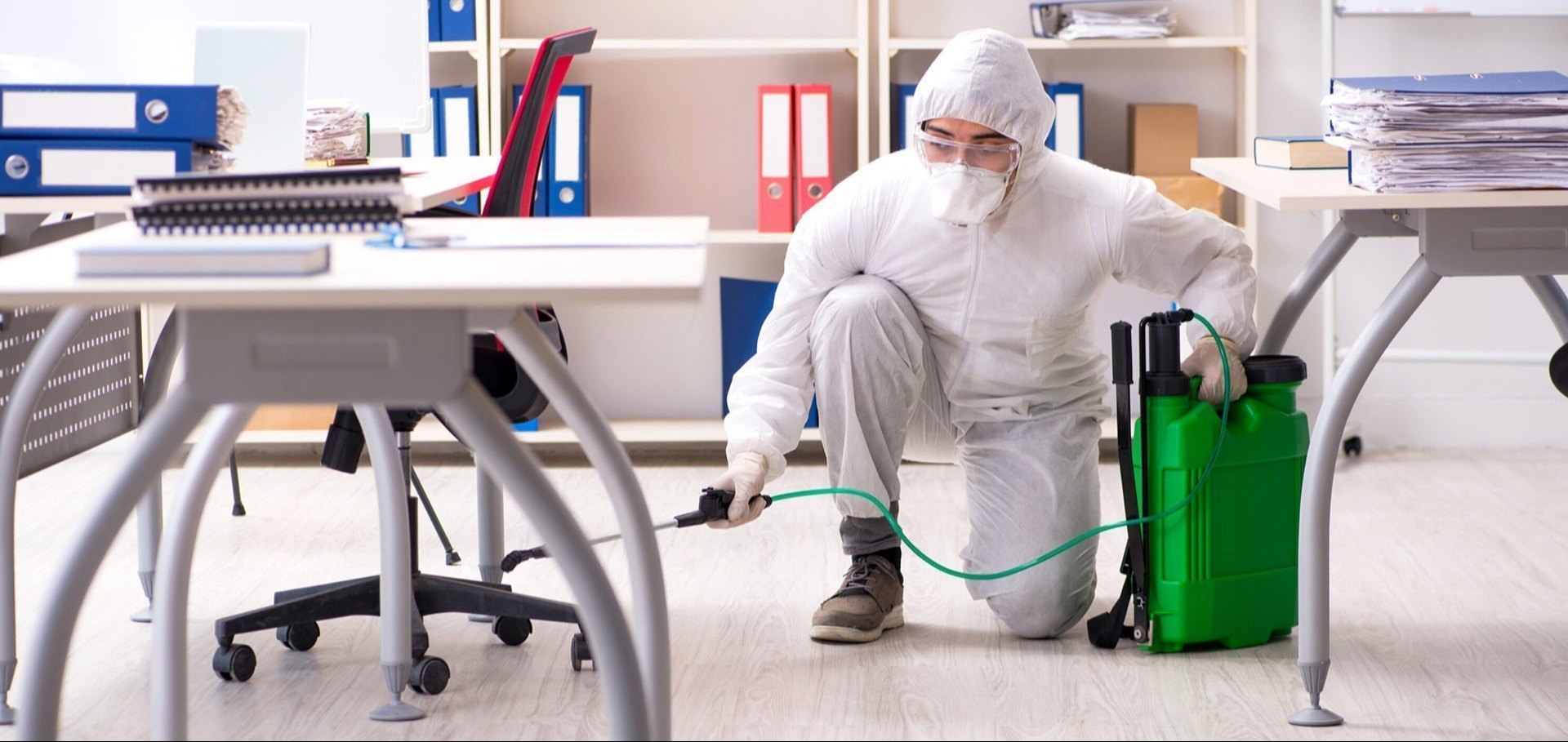 pest control services