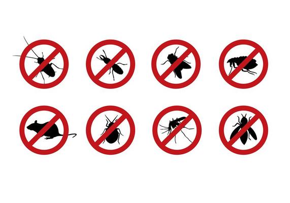 pest control services in lohardaga