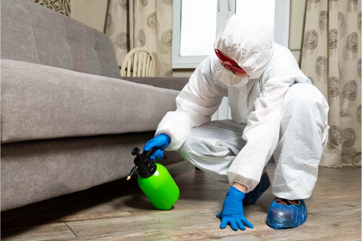 pest control services
