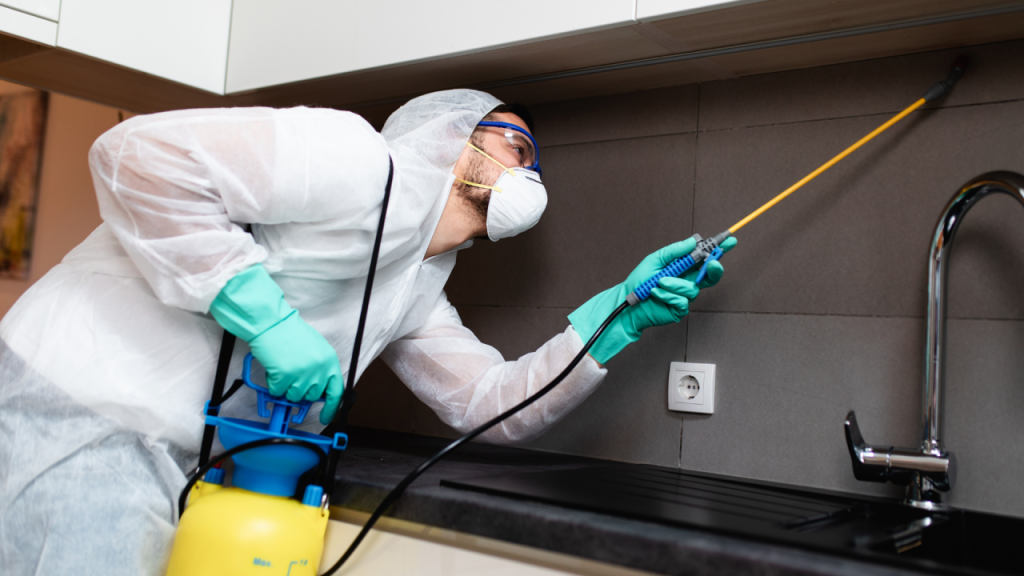 pest control services in chauparan