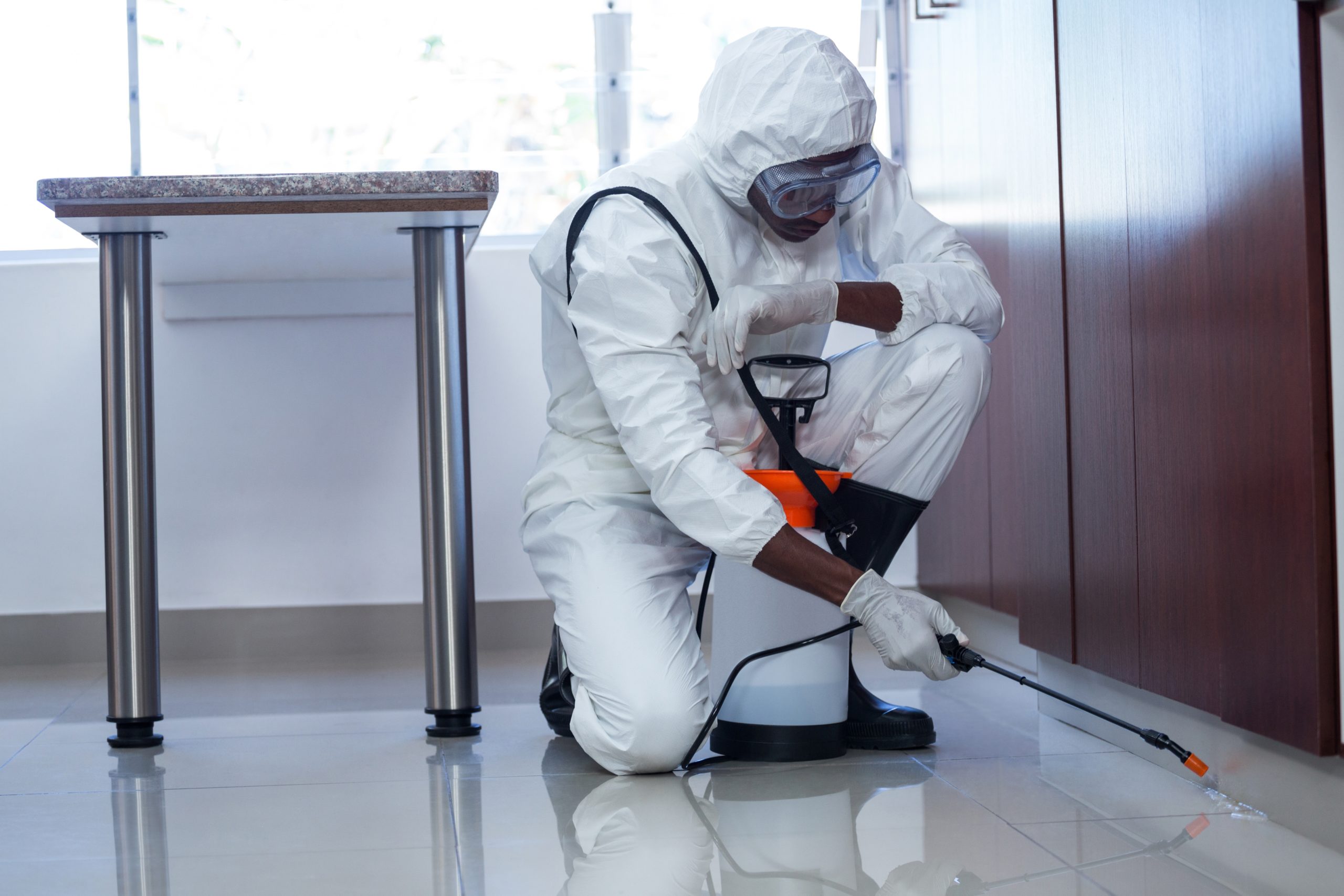 Insect and rodent control 