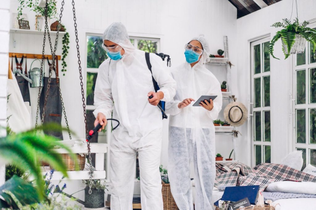 Pest control services