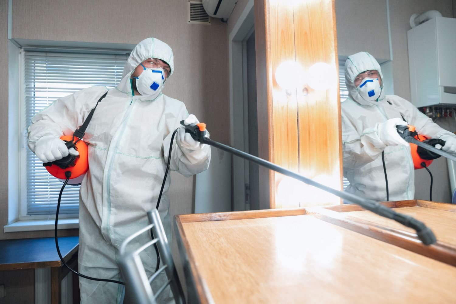 Pest Control Services in Giridih