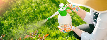 pest control services