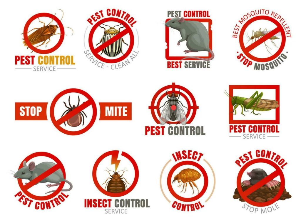 pest control services in koderma