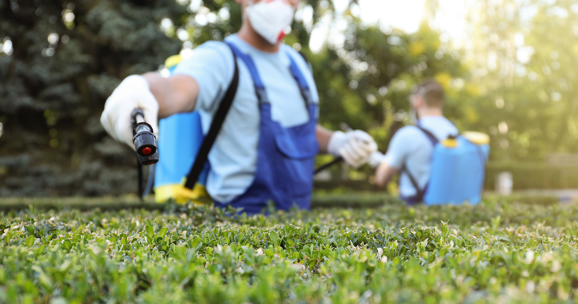 pest control services in dhanbad