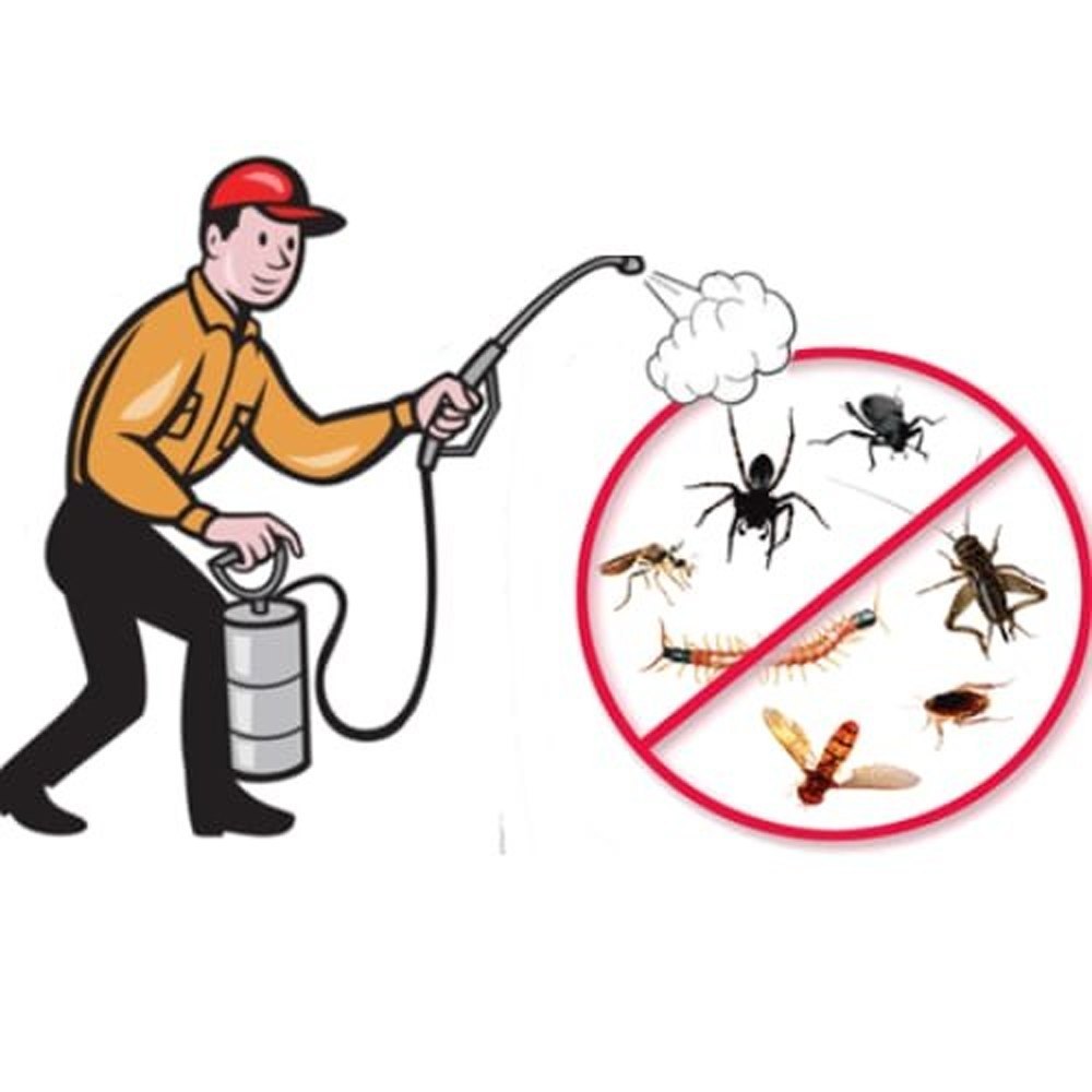 pest control services in Simdega