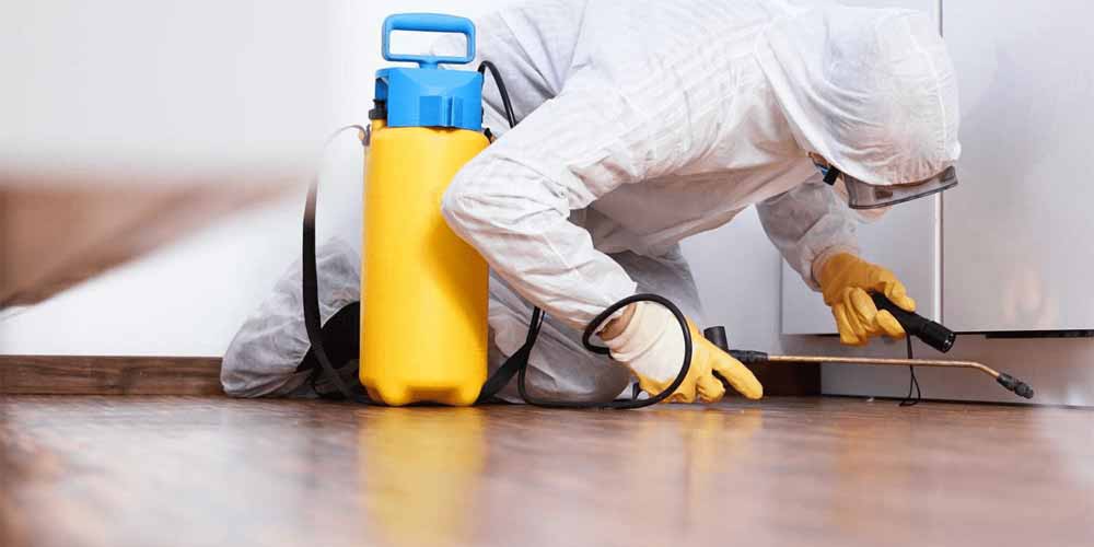 pest control services