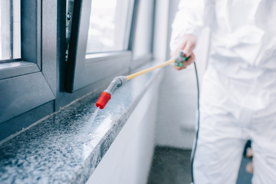 Pest control services 