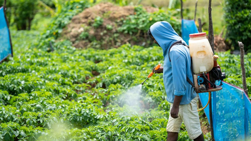 pest control services
